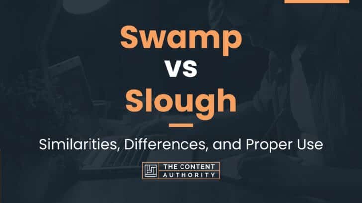 Swamp vs Slough: Similarities, Differences, and Proper Use