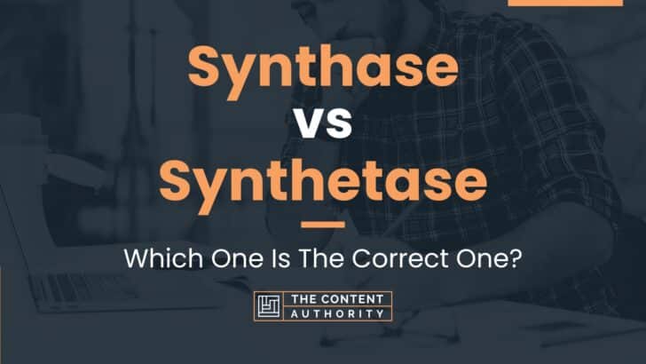 Synthase vs Synthetase: Which One Is The Correct One?