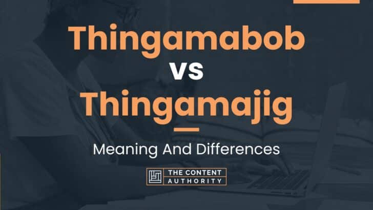 What Is The Meaning Of Thingamajig