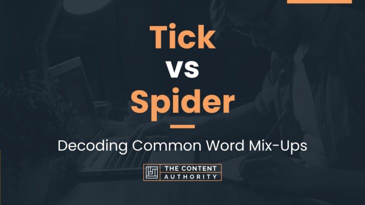 Tick vs Spider: Decoding Common Word Mix-Ups