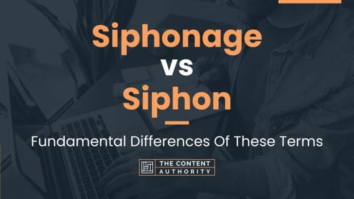 Siphonage vs Siphon: Fundamental Differences Of These Terms