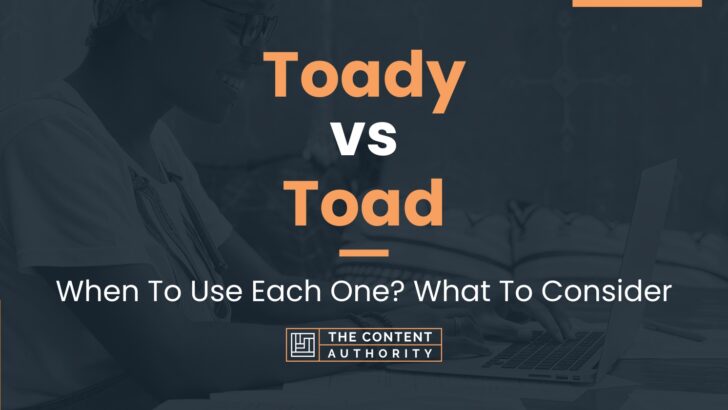 Toady vs Toad: When To Use Each One? What To Consider