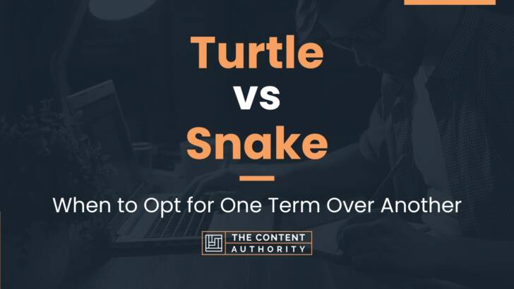 Turtle vs Snake: When to Opt for One Term Over Another