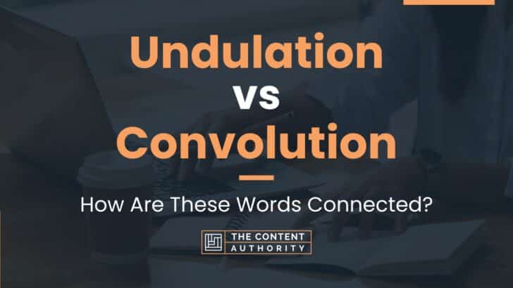 Undulation vs Convolution: How Are These Words Connected?