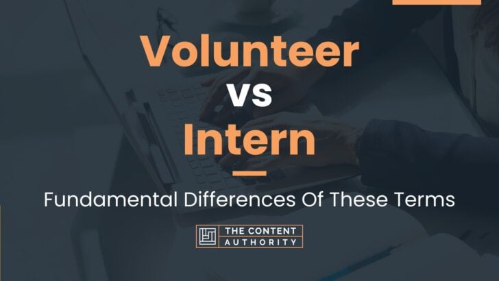 Volunteer vs Intern: Fundamental Differences Of These Terms