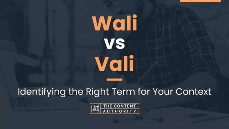Wali vs Vali: Identifying the Right Term for Your Context