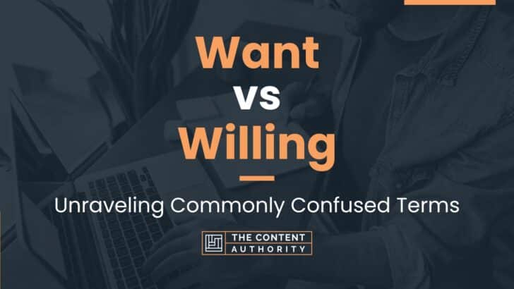 want-vs-willing-unraveling-commonly-confused-terms