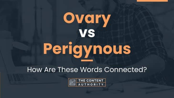 ovary-vs-perigynous-how-are-these-words-connected