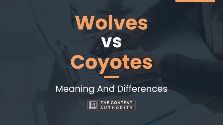 Wolves vs Coyotes: Meaning And Differences