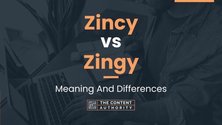 zincy-vs-zingy-meaning-and-differences