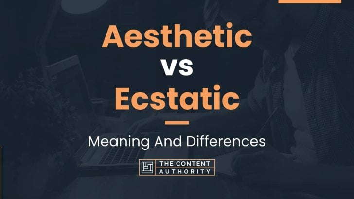 Aesthetic vs Ecstatic: Meaning And Differences