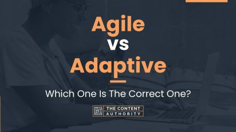 Agile vs Adaptive: Which One Is The Correct One?