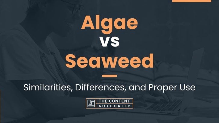 Algae vs Seaweed: Similarities, Differences, and Proper Use