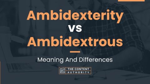 Ambidexterity vs Ambidextrous: Meaning And Differences