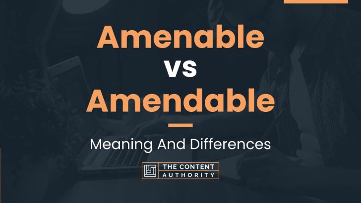 Amenable vs Amendable: Meaning And Differences