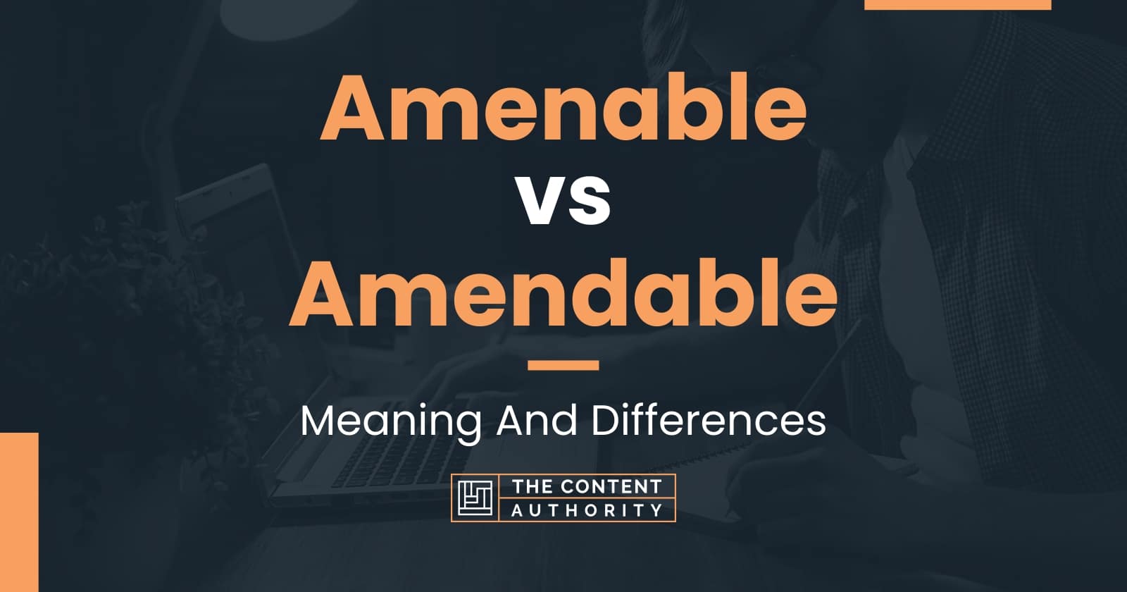 Amenable vs Amendable: Meaning And Differences