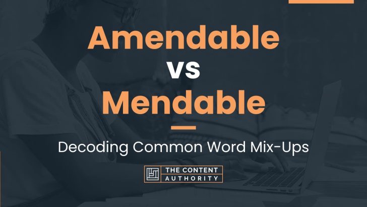 Amendable vs Mendable: Decoding Common Word Mix-Ups