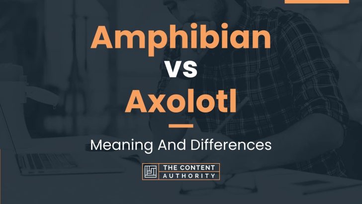 Amphibian vs Axolotl: Meaning And Differences