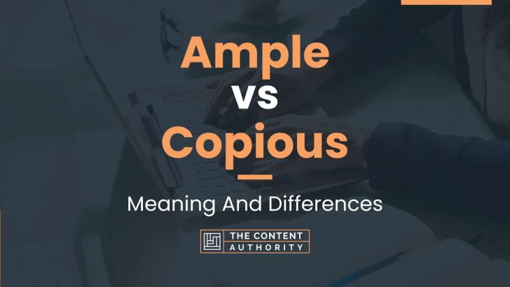 Ample vs Copious: Meaning And Differences