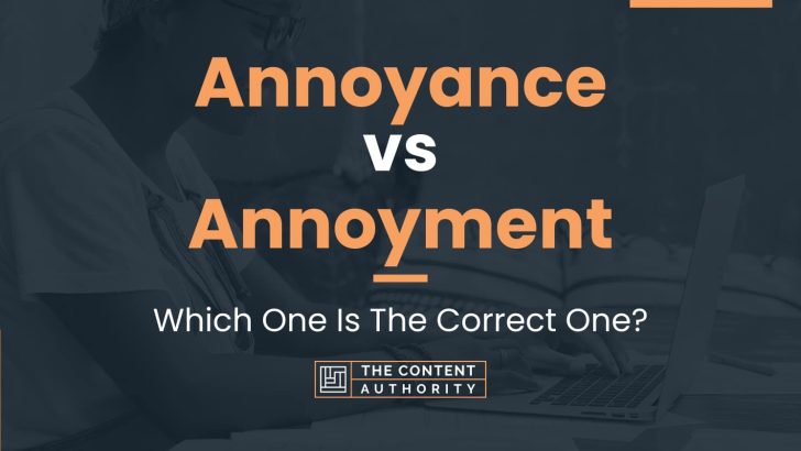 annoyance-vs-annoyment-which-one-is-the-correct-one