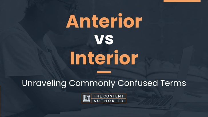 Anterior vs Interior: Unraveling Commonly Confused Terms