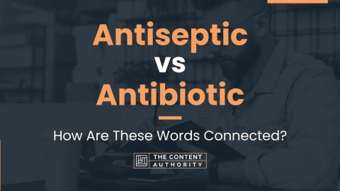 Antiseptic vs Antibiotic: How Are These Words Connected?