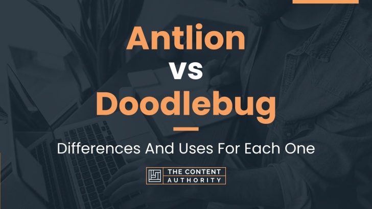 Antlion vs Doodlebug: Differences And Uses For Each One