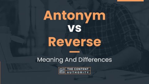 Antonym vs Reverse: Meaning And Differences