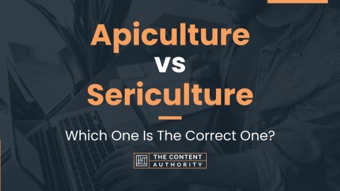 Apiculture vs Sericulture: Which One Is The Correct One?