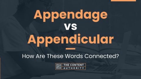 Appendage vs Appendicular: How Are These Words Connected?