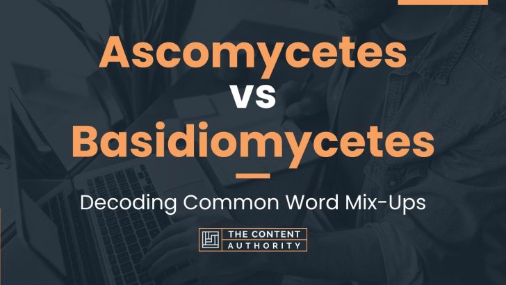 Ascomycetes vs Basidiomycetes: Decoding Common Word Mix-Ups