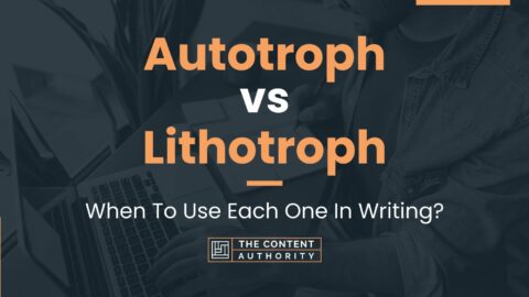 Autotroph Vs Lithotroph: When And How Can You Use Each One?