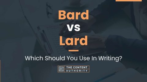 Bard vs Lard: Which Should You Use In Writing?