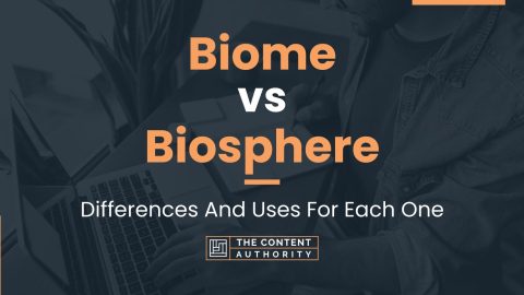 Biome vs Biosphere: Differences And Uses For Each One