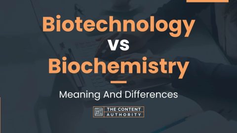 Biotechnology vs Biochemistry: Meaning And Differences