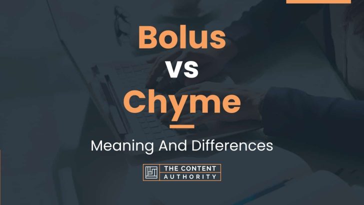 Bolus vs Chyme: Meaning And Differences