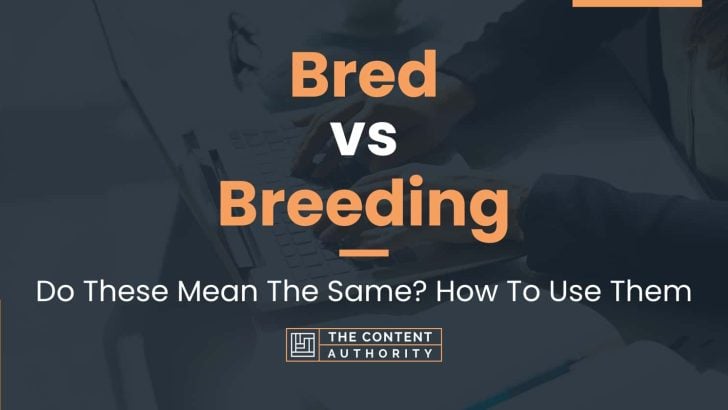 bred-vs-breeding-do-these-mean-the-same-how-to-use-them