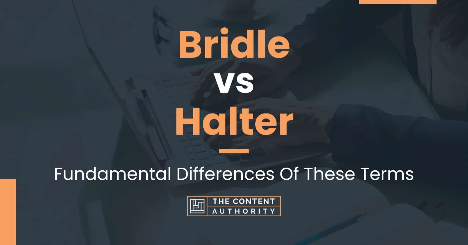 Bridle vs Halter: Fundamental Differences Of These Terms