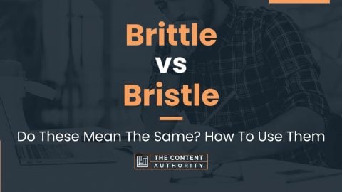 Brittle vs Bristle: Do These Mean The Same? How To Use Them