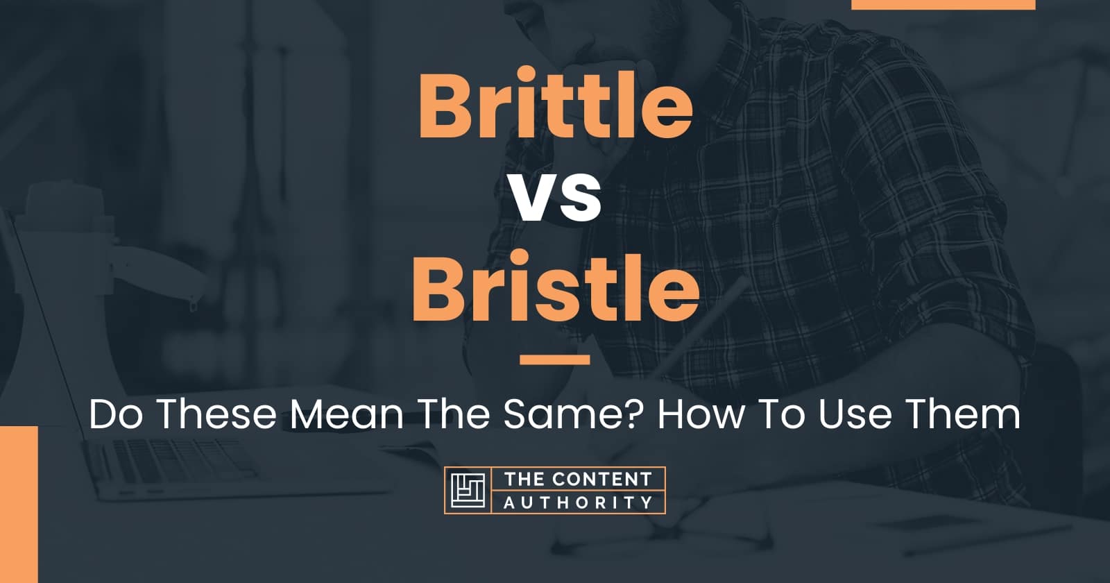 Brittle vs Bristle Do These Mean The Same? How To Use Them