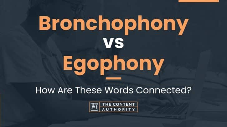 Bronchophony vs Egophony: How Are These Words Connected?