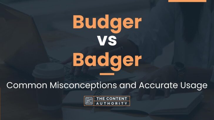 Budger vs Badger: Which Should You Use In Writing?