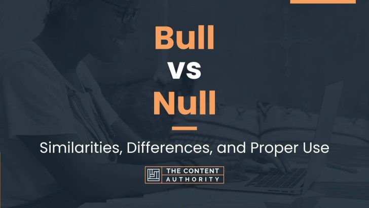 Bull vs Null: Similarities, Differences, and Proper Use