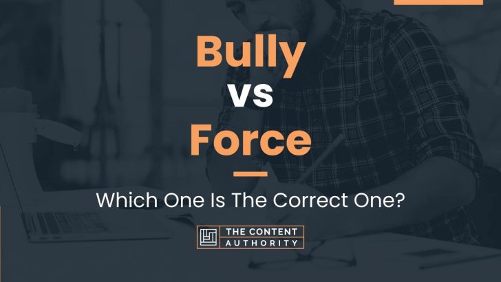 bully vs force