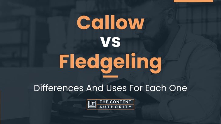 Callow vs Fledgeling: Differences And Uses For Each One