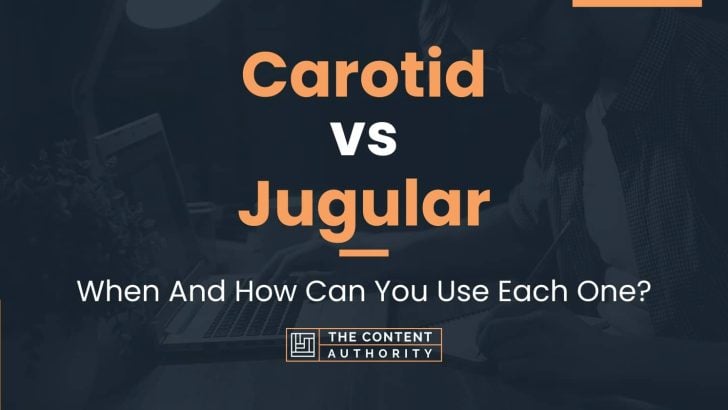 Carotid vs Jugular: When And How Can You Use Each One?