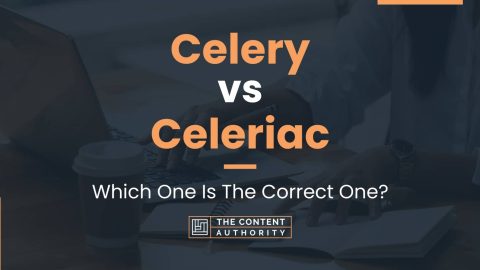 Celery vs Celeriac: Which One Is The Correct One?