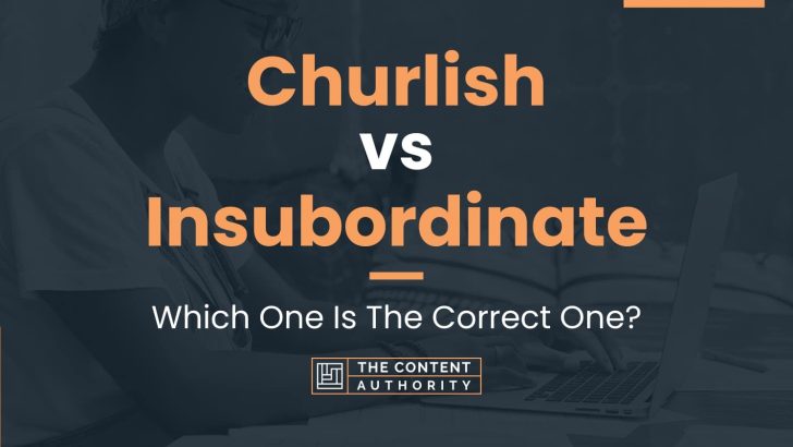 Churlish vs Insubordinate: Which One Is The Correct One?