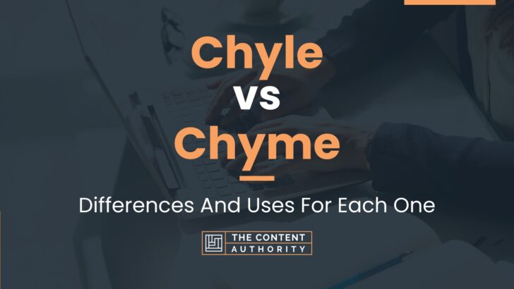 Chyle vs Chyme: Differences And Uses For Each One