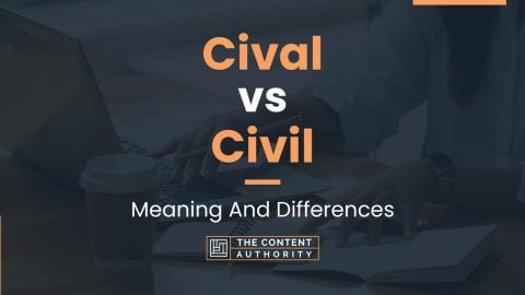 Cival vs Civil: Meaning And Differences